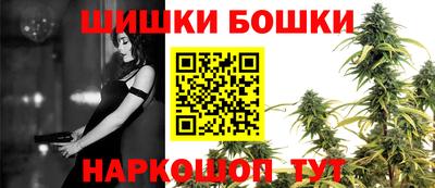 spice Гатчина