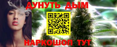 spice Гатчина