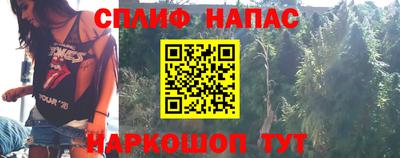 дмт Гай