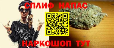 spice Гагарин