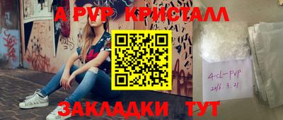 spice Гатчина